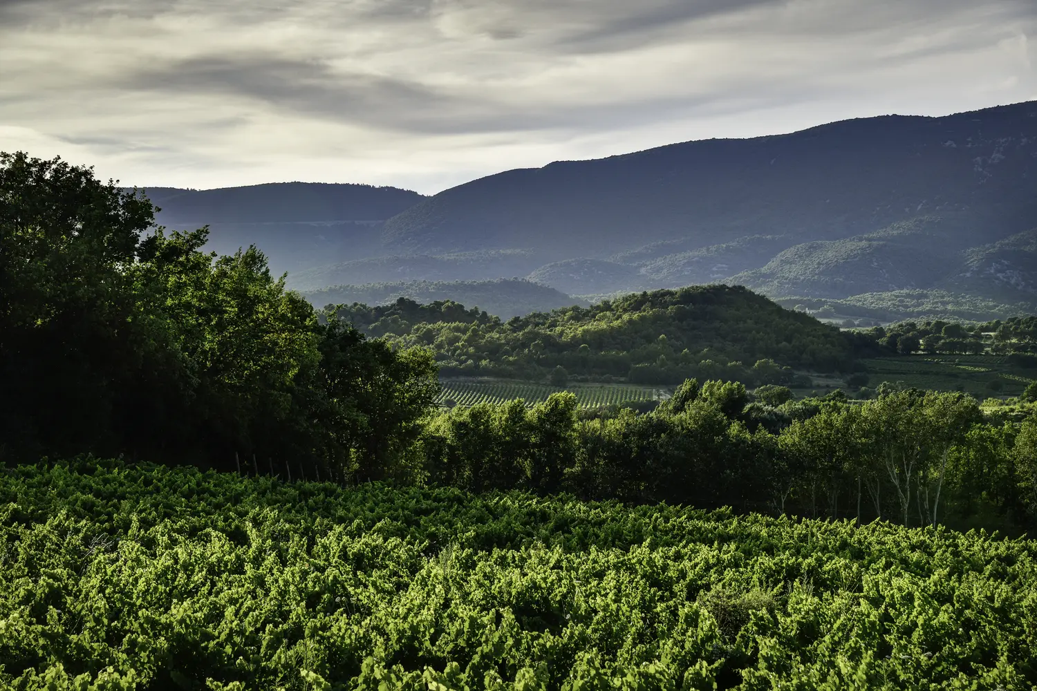 Photo d'illustration