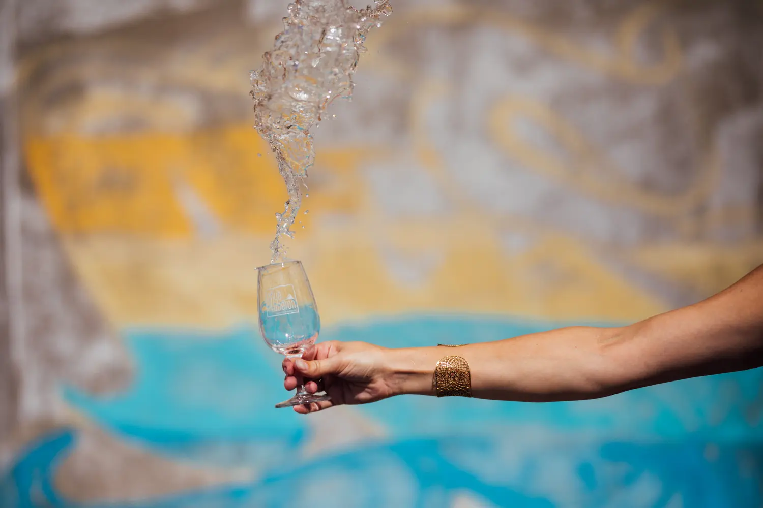 Dégustez nos vins blancs