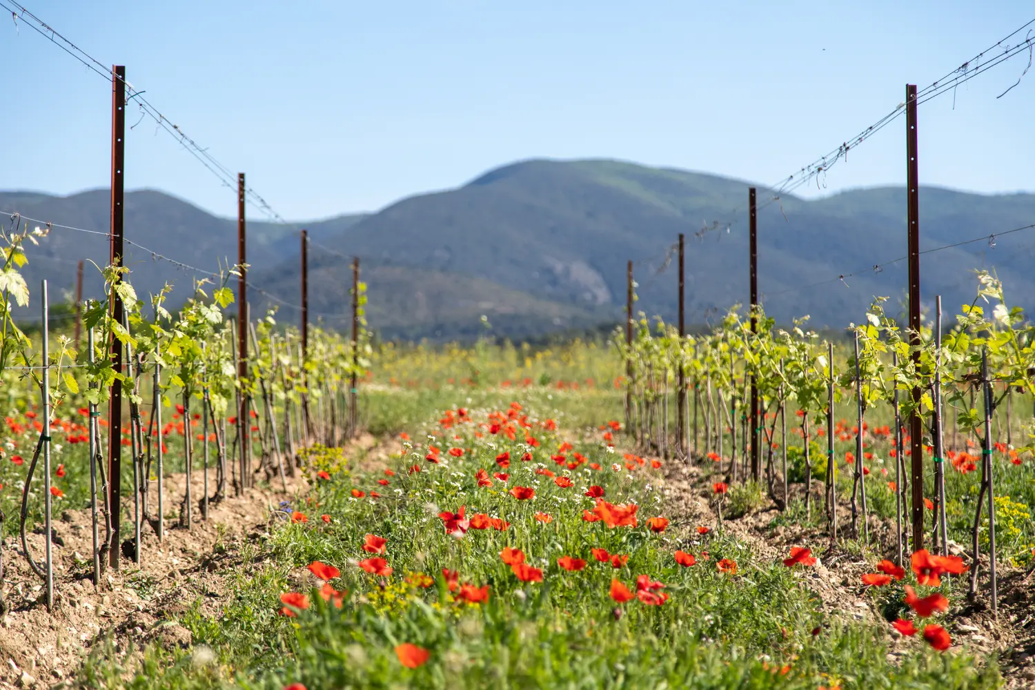 Préserver la nature